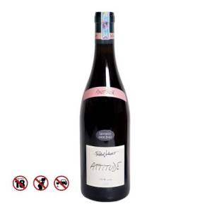 RƯỢU VANG ĐỎ PASCAL JOLIVET ATTITUDE PINOT NOIR 13% (750ml)