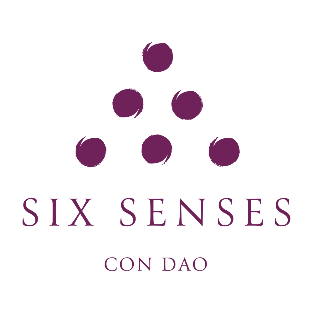 6-senses-logo